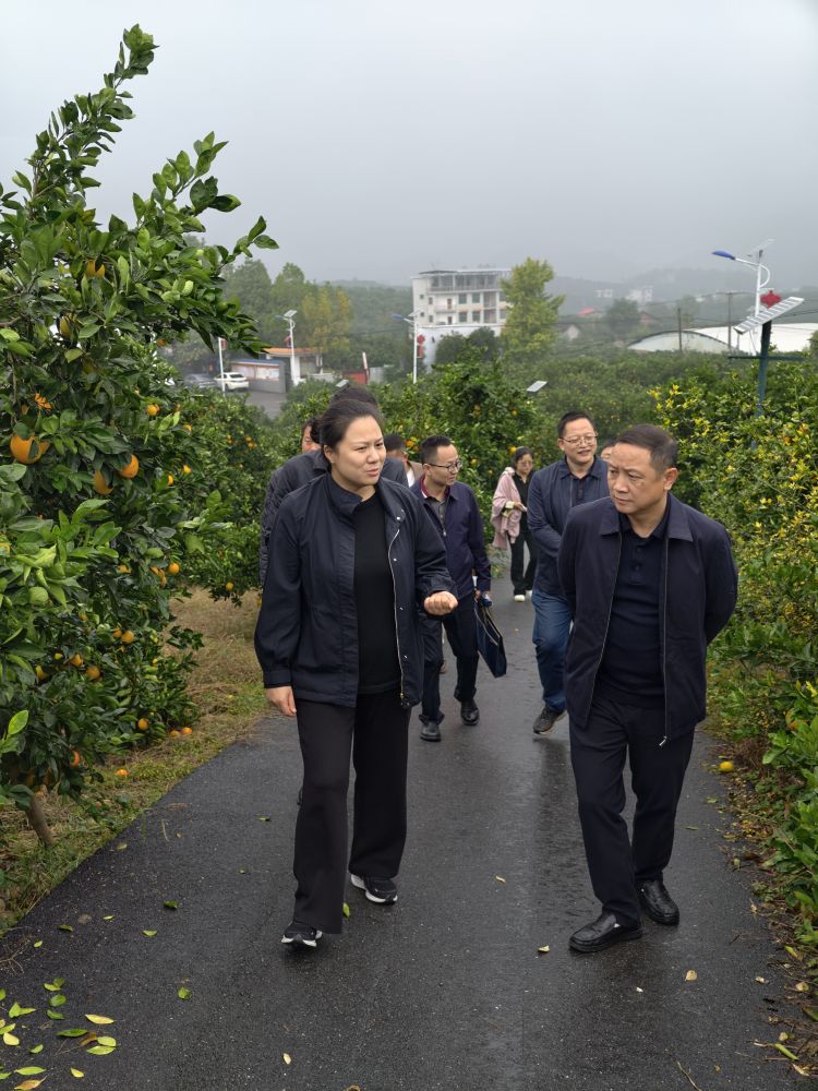 3d9f2f2164d6c00ebe31a84e938d9f15.jpg 3d9f2f2164d6c00ebe31a84e938d9f15.jpg